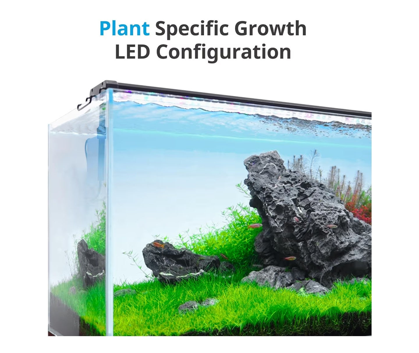 NICREW ClassicLED Plus LED Aquarium Light with Timer